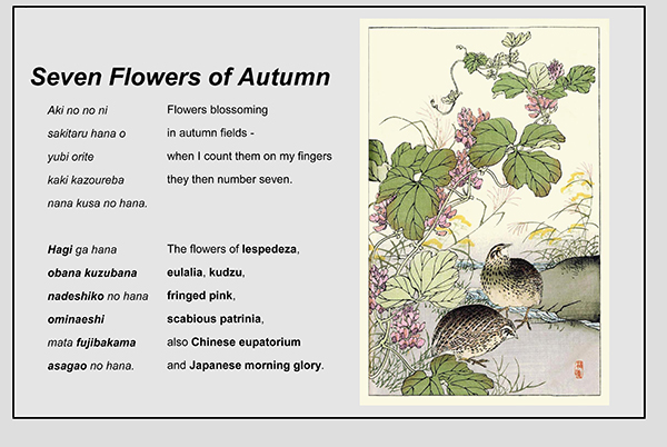 Seven Flowers of Autumn Blog